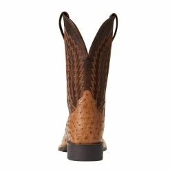 Ariat Men`s Quantum Primo Ranger FQ Ostrich 11` Beam Brown Top Square Toe Boots 9 Ariat Men`s Quantum Primo Ranger FQ Ostrich 11` Beam Brown Top Square Toe Boots -Justin Boots Store 10040281 2