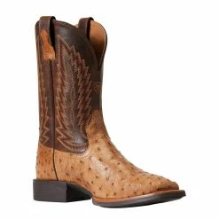 Ariat Men`s Quantum Primo Ranger FQ Ostrich 11` Beam Brown Top Square Toe Boots 10 Ariat Men`s Quantum Primo Ranger FQ Ostrich 11` Beam Brown Top Square Toe Boots -Justin Boots Store 10040281 3