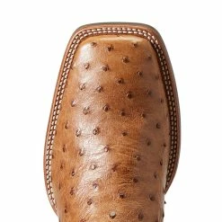 Ariat Men`s Quantum Primo Ranger FQ Ostrich 11` Beam Brown Top Square Toe Boots 11 Ariat Men`s Quantum Primo Ranger FQ Ostrich 11` Beam Brown Top Square Toe Boots -Justin Boots Store 10040281 4