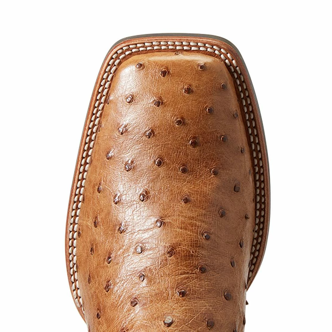 Ariat Men`s Quantum Primo Ranger FQ Ostrich 11` Beam Brown Top Square Toe Boots 7 Ariat Men`s Quantum Primo Ranger FQ Ostrich 11` Beam Brown Top Square Toe Boots - Image 5