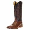 Men's R Watson Kango Tobac Full Quill Ostrich 13in. Espresso Goat Top Boots 1 Men's R Watson Kango Tobac Full Quill Ostrich 13in. Espresso Goat Top Boots -Justin Boots Store 116657 default l