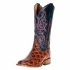 Macie Bean Boots Women`s Cognac Filet Of Fish 13` Navy Explosion Top 2 Macie Bean Boots Women`s Cognac Filet Of Fish 13` Navy Explosion Top -Justin Boots Store 125382 default l
