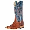 Macie Bean Boots Macie Bean Cohnac Lux FQ OST/Navy 1 Macie Bean Boots Macie Bean Cohnac Lux FQ OST/Navy -Justin Boots Store 138778 default l