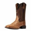 Ariat Men`s Quantum Primo Ranger FQ Ostrich 11` Beam Brown Top Square Toe Boots 2 Ariat Men`s Quantum Primo Ranger FQ Ostrich 11` Beam Brown Top Square Toe Boots -Justin Boots Store 146659 default l