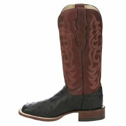 Justin Boots Women`s AQHA Cowgal Black Full Quill Ostrich 13 In Boot 9 Justin Boots Women`s AQHA Cowgal Black Full Quill Ostrich 13 In Boot -Justin Boots Store AQ8650 03