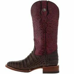 Tanner Mark Boots Women`s Brown Caiman Belly Print 13in. Boot -Justin Boots Store TM207104 03