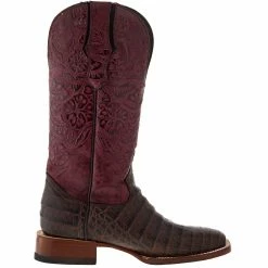 Tanner Mark Boots Women`s Brown Caiman Belly Print 13in. Boot -Justin Boots Store TM207104 05